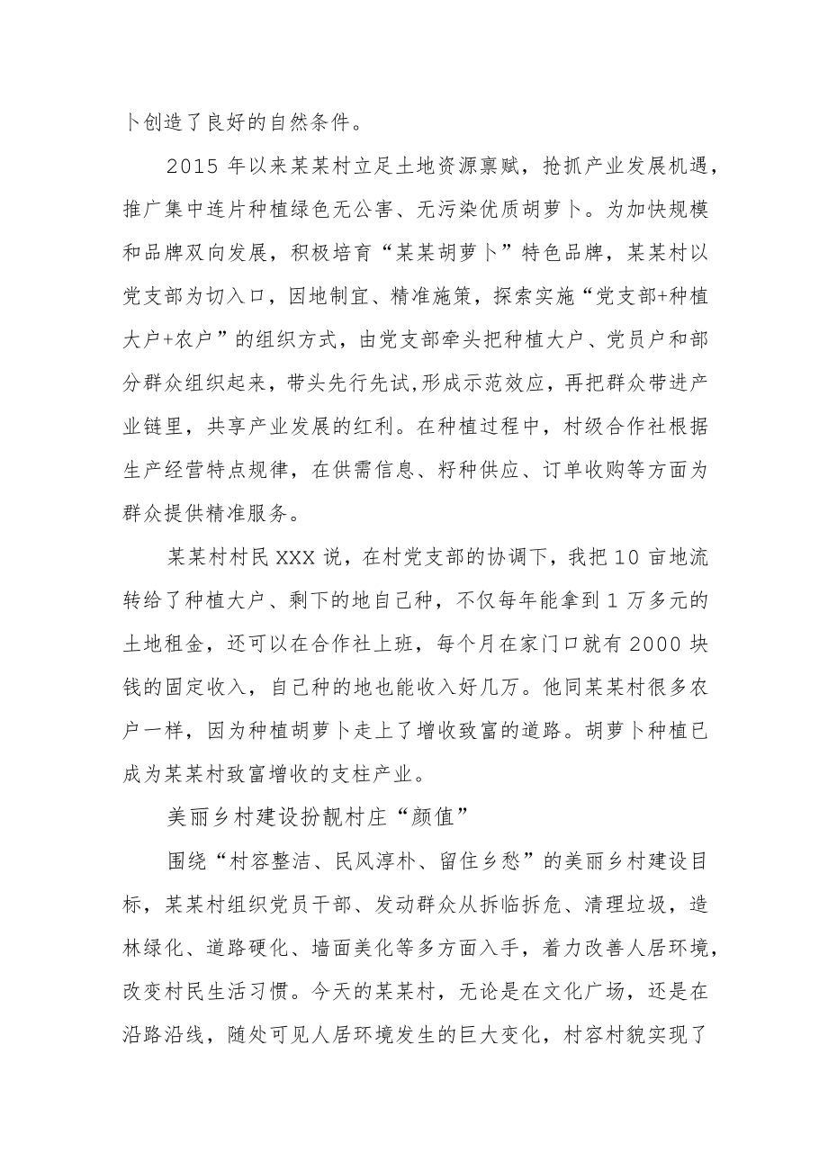 党建引领乡村振兴典型案例.docx_第2页