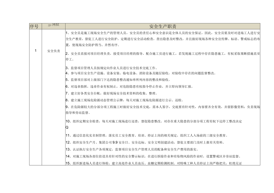 安全负责人岗位安全生产职责.docx_第1页