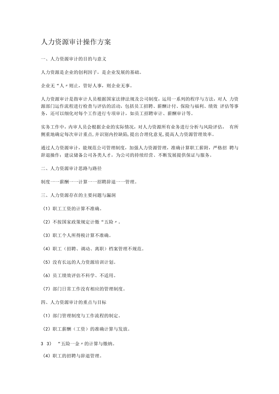 人力资源审计操作.docx_第1页