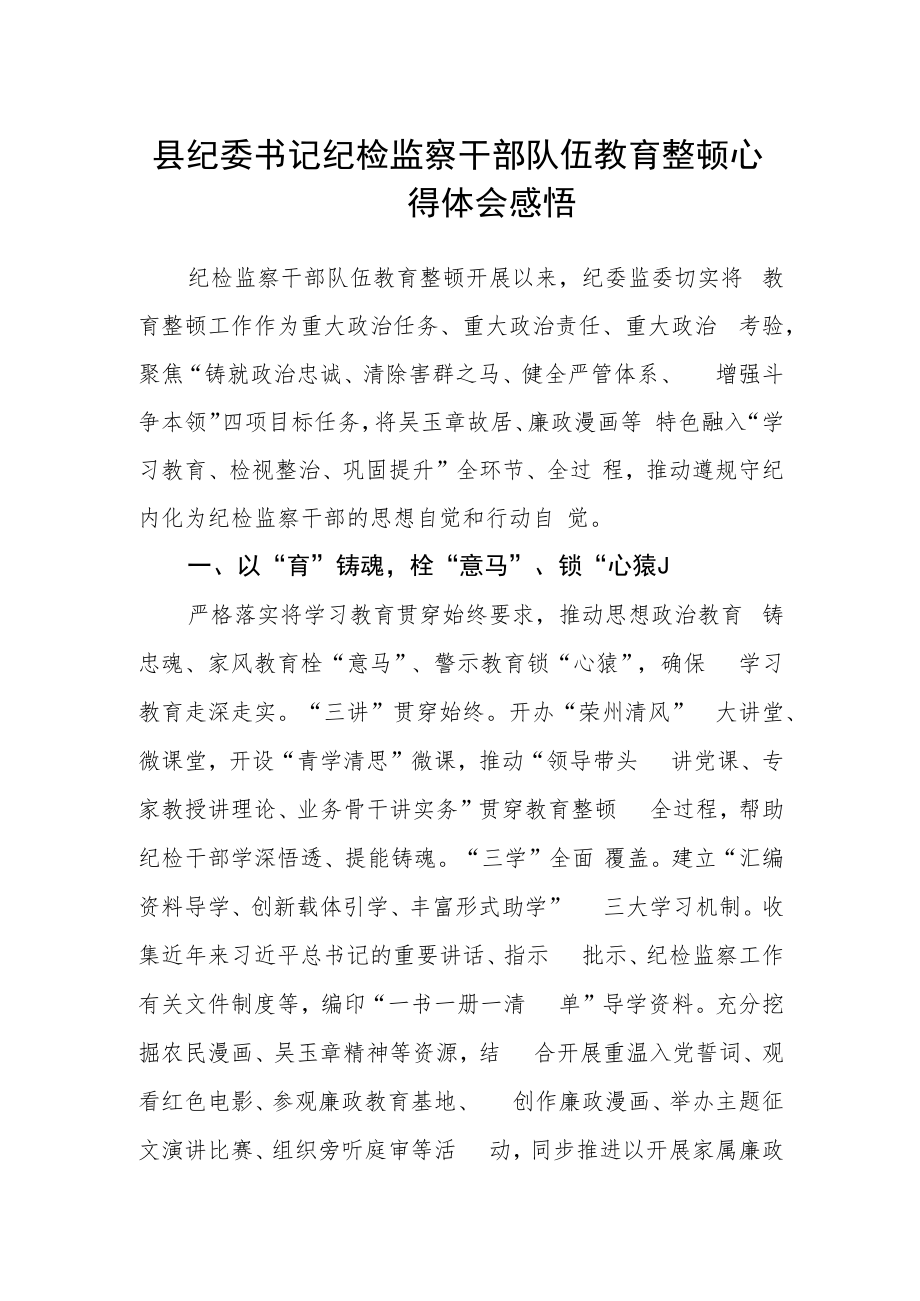 县纪委书记纪检监察干部队伍教育整顿心得体会感悟.docx_第1页