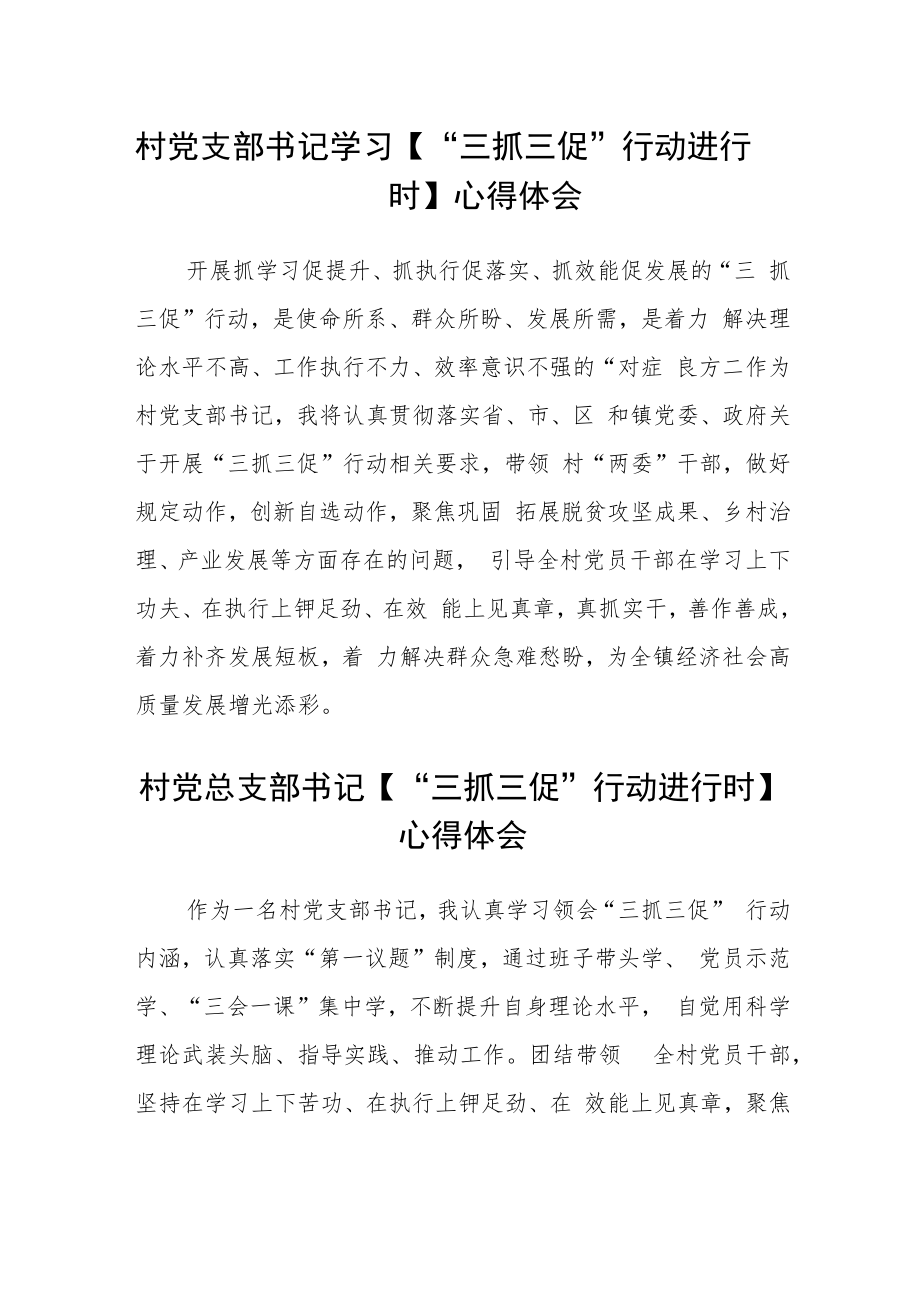 村党支部书记学习【“三抓三促”行动进行时】心得体会合篇【三篇】.docx_第1页