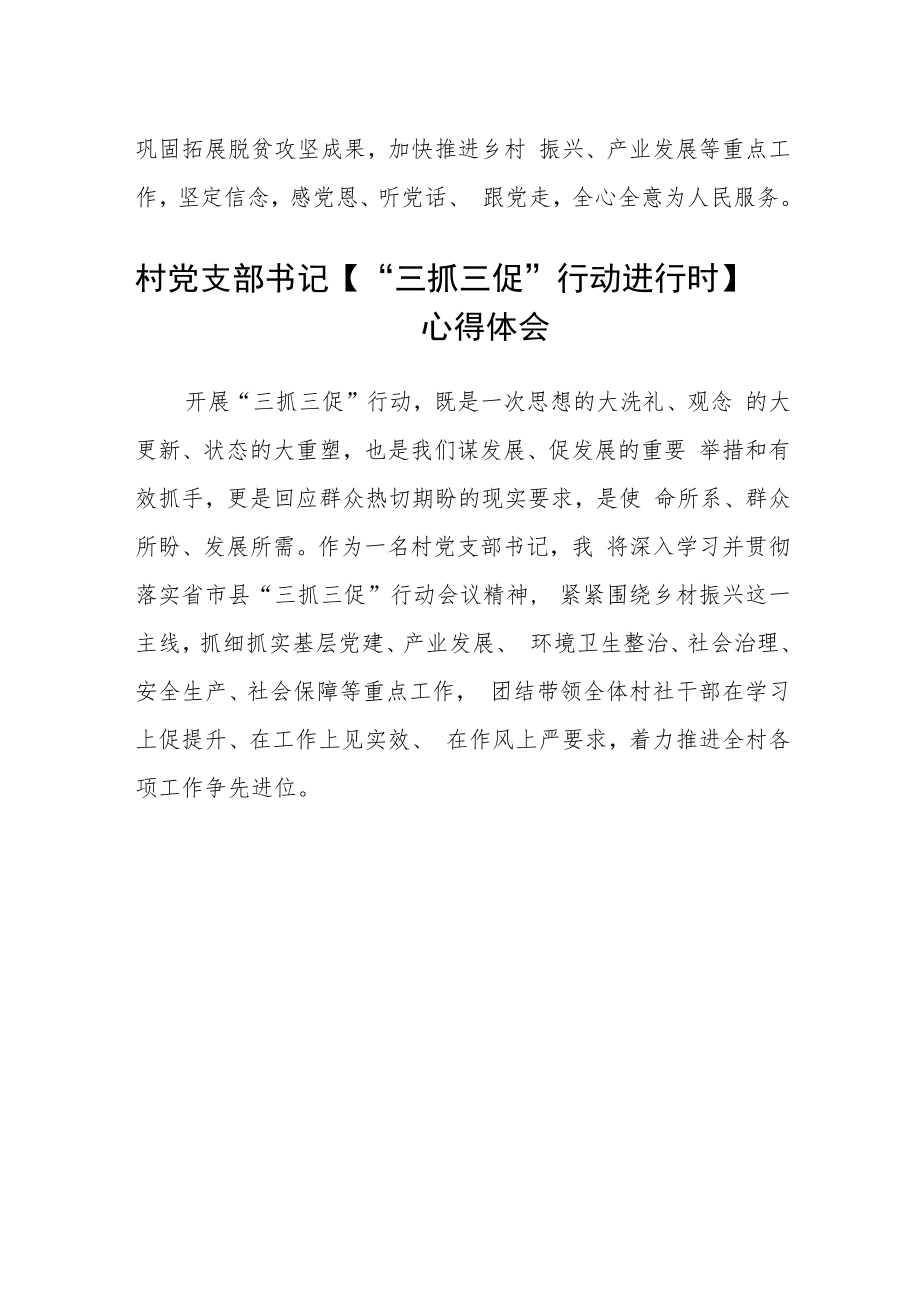 村党支部书记学习【“三抓三促”行动进行时】心得体会合篇【三篇】.docx_第2页