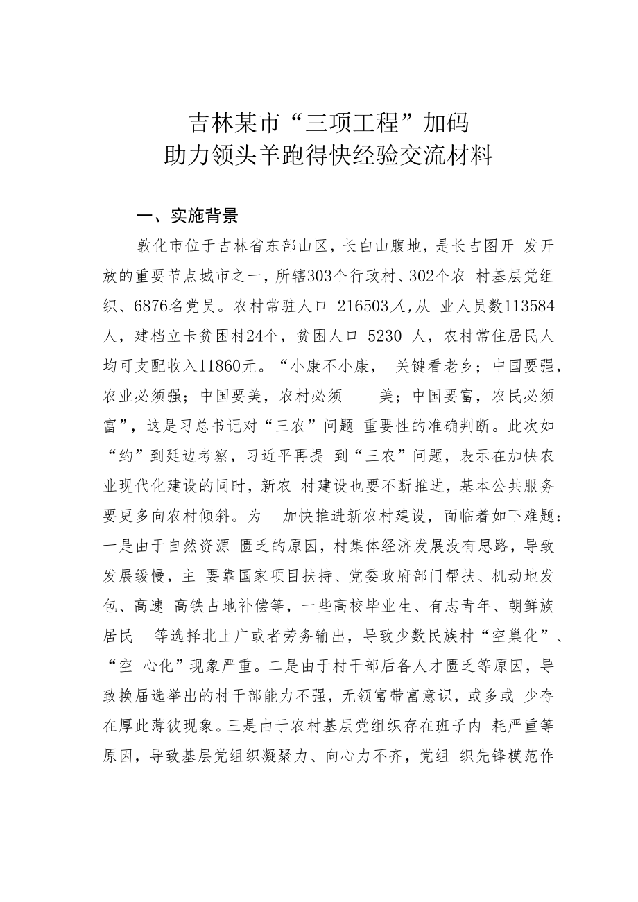 吉林某市“三项工程”加码助力领头羊跑得快经验交流材料.docx_第1页