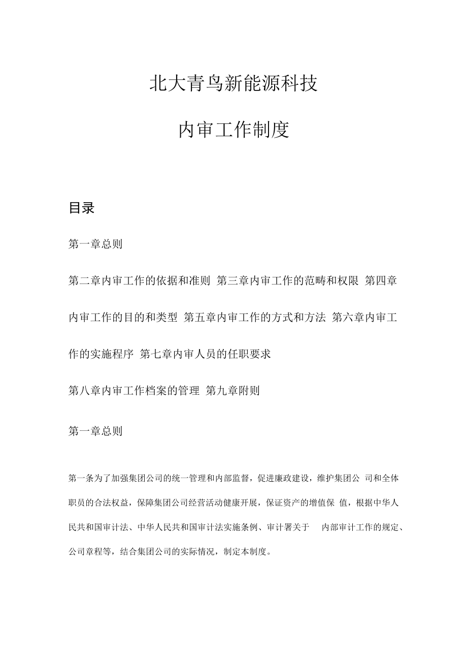 新能源科技有限公司内审工作制度(初稿).docx_第1页