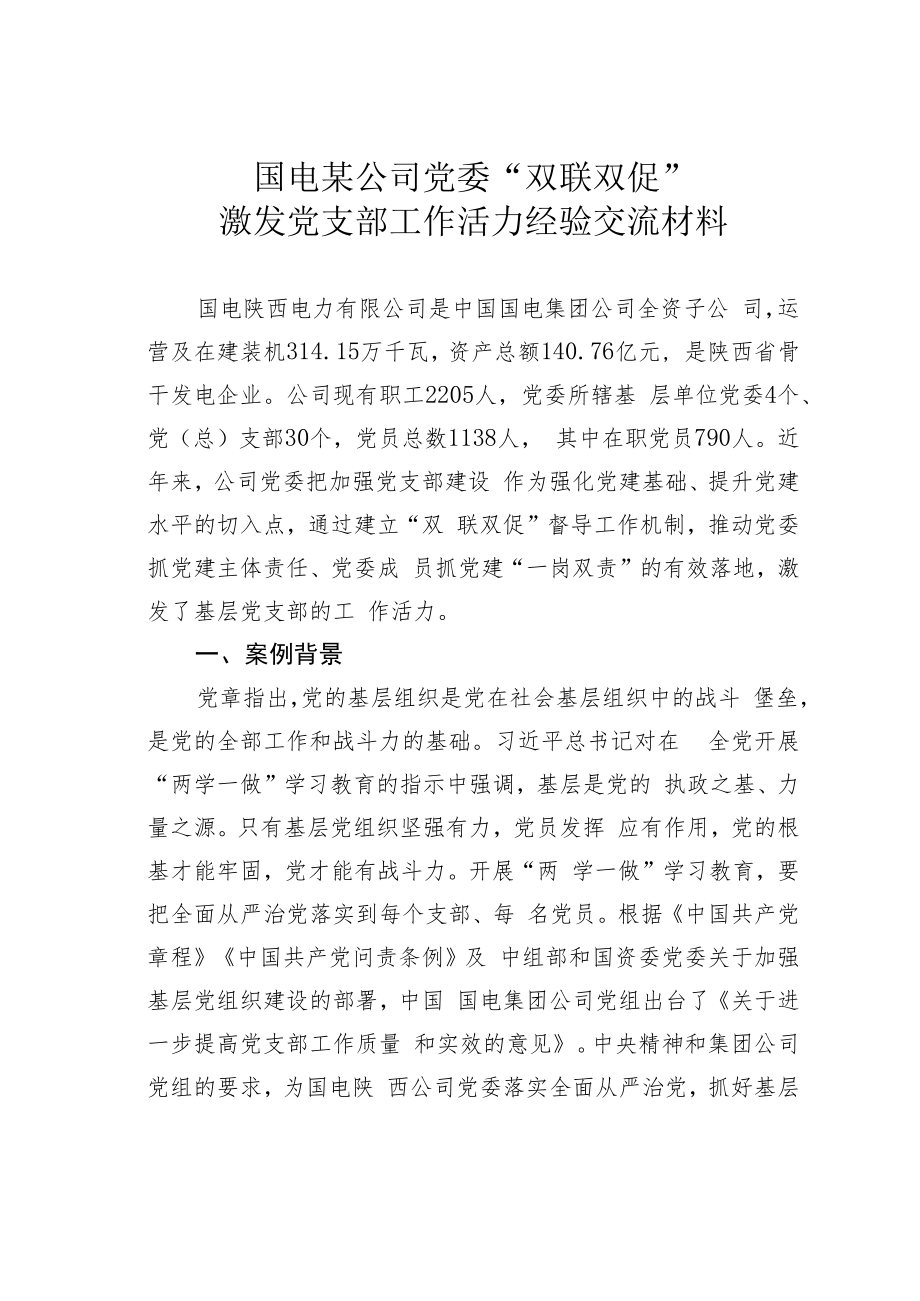 国电某公司党委“双联双促”激发党支部工作活力经验交流材料.docx_第1页