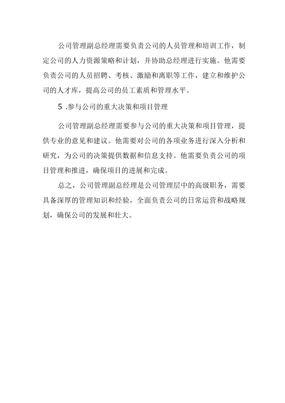 公司管理副总经理岗位职责.docx_第2页