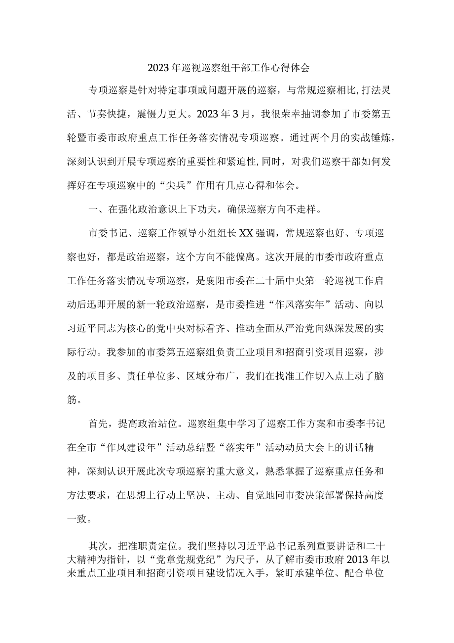 机关事业单位2023年巡视巡察组干部工作心得体会精编5篇.docx_第1页