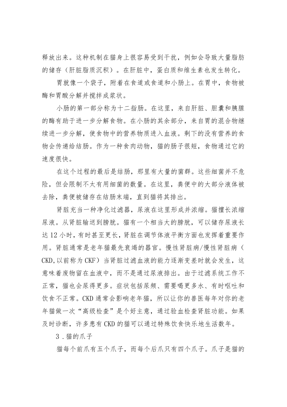 猫的身体结构及感官特征分析.docx_第3页