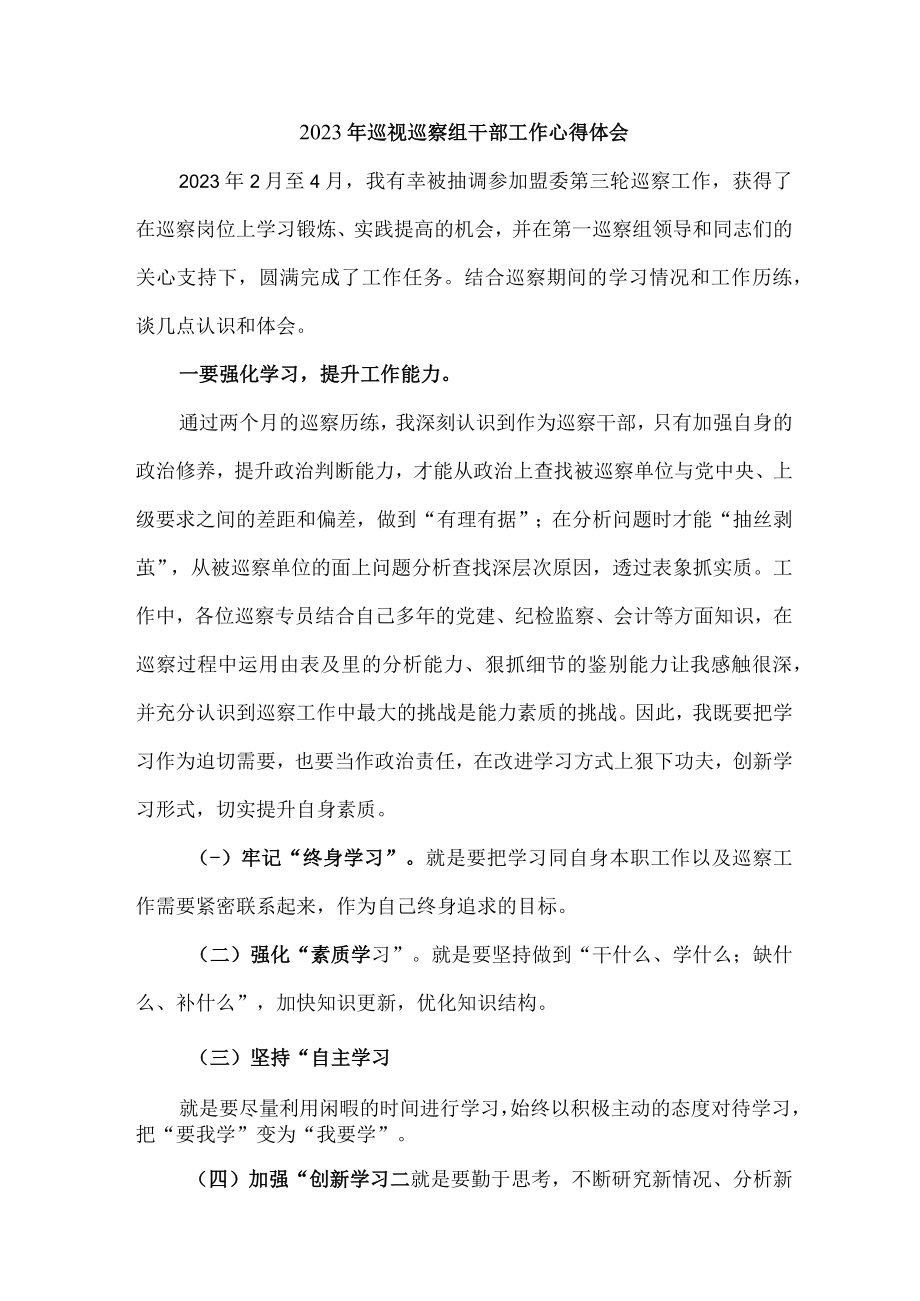 金融银行系统2023年纪检巡察组巡检工作心得体会 （10份）.docx_第1页