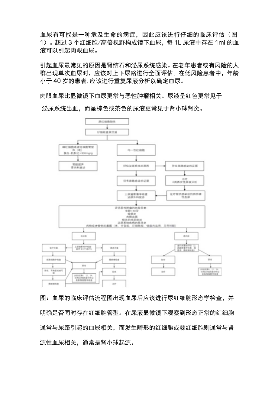 2023蛋白尿和血尿的诊断及鉴别要点（全文）.docx_第3页