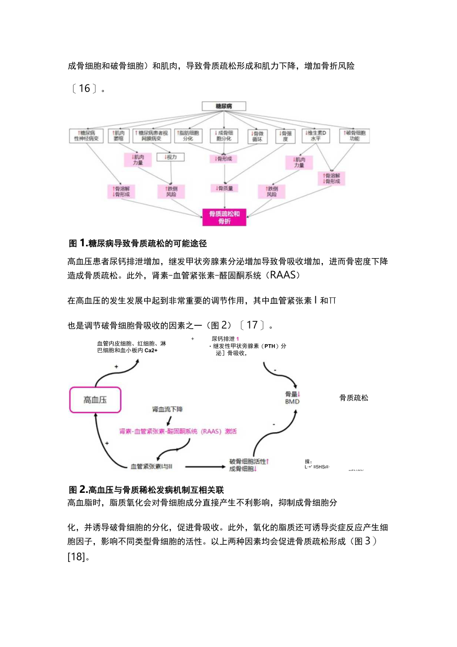 2023“三高”人群的骨质疏松及骨折风险的防治（全文）.docx_第3页