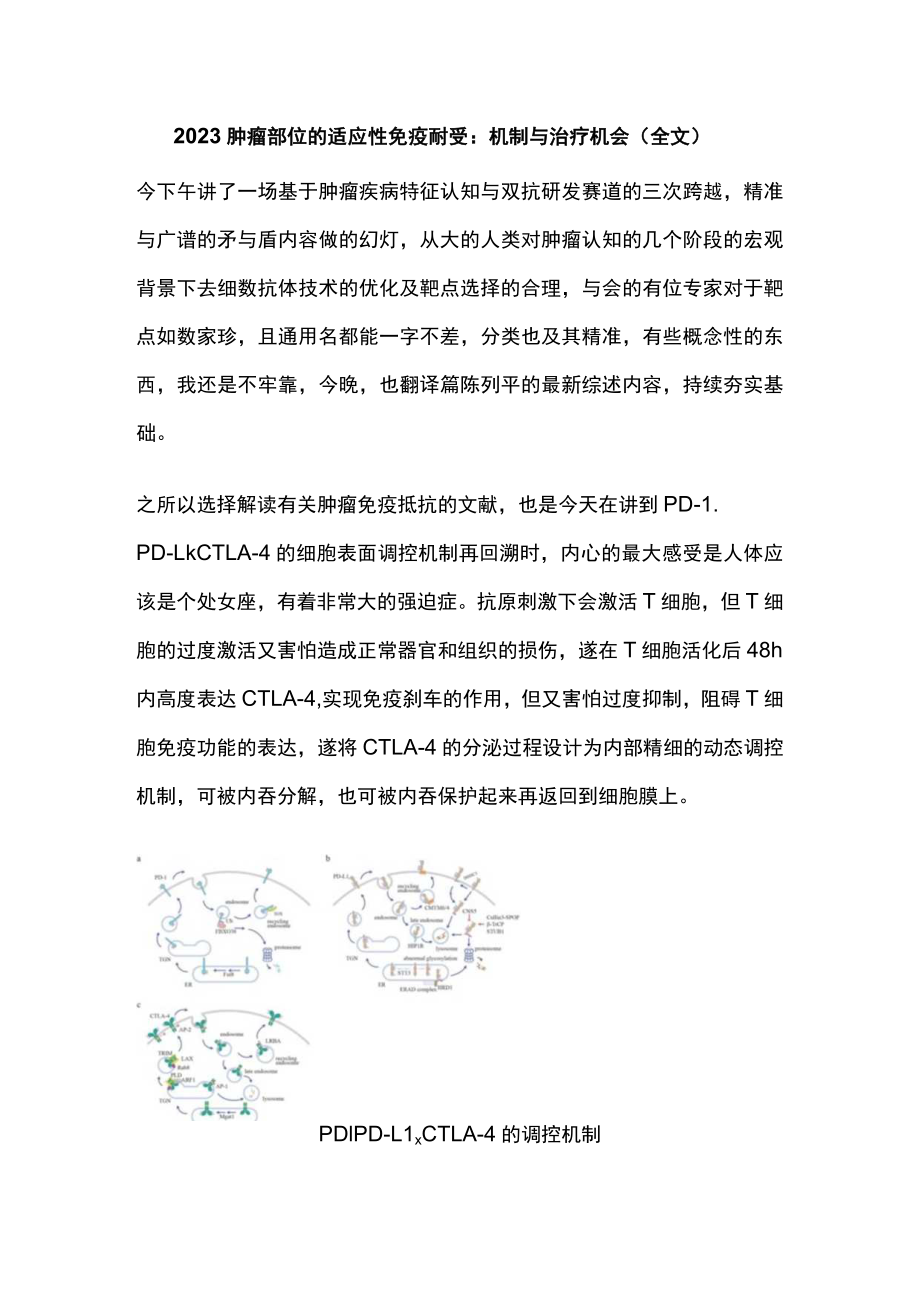 2023肿瘤部位的适应性免疫耐受：机制与治疗机会（全文）.docx_第1页