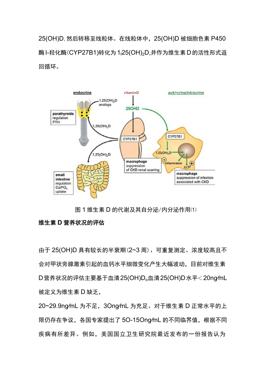 2023维生素D活性成分在慢性肾脏病患者中的应用循证证据总结（全文）.docx_第2页