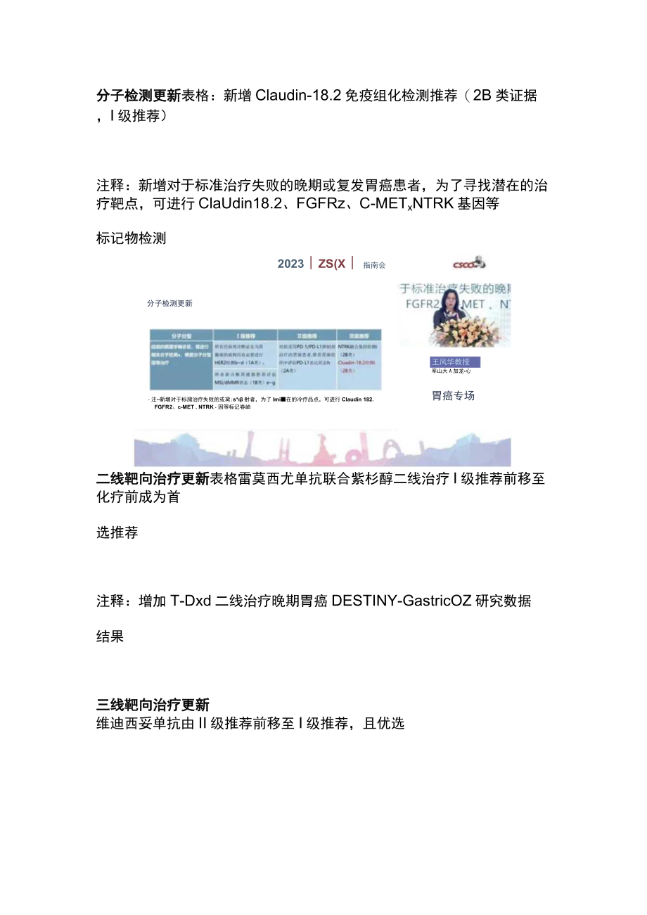 2023CSCO胃癌、结直肠癌更新要点（全文）.docx_第3页