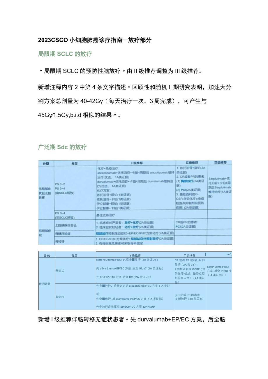 2023 CSCO 小细胞肺癌诊疗指南更新（全文）.docx_第3页