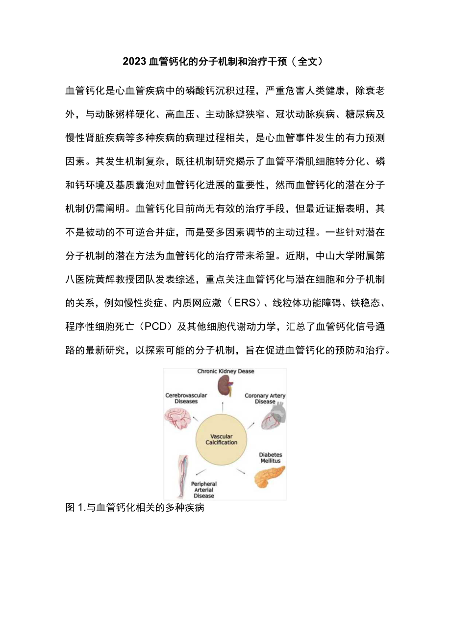 2023血管钙化的分子机制和治疗干预（全文）.docx_第1页