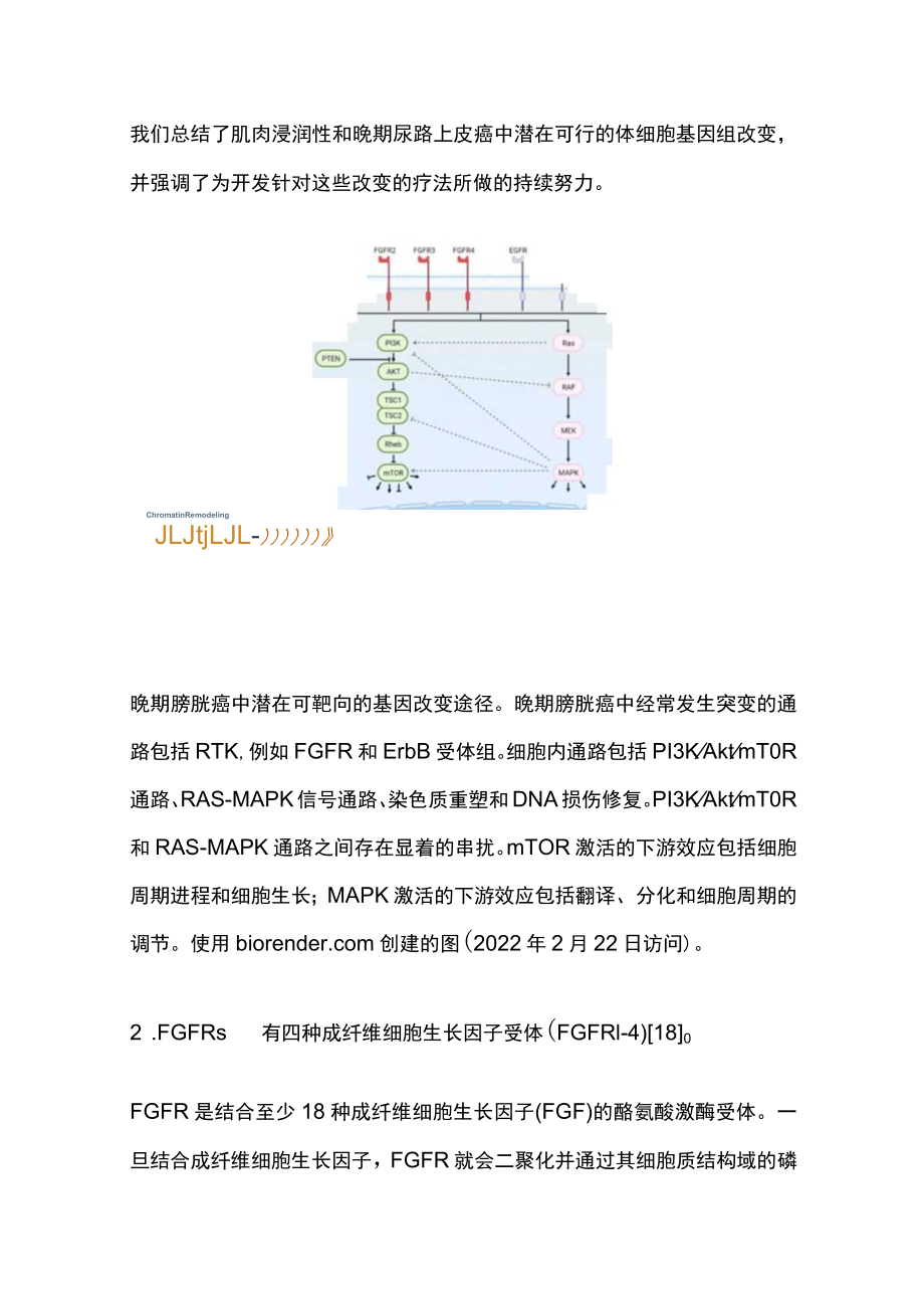 2023晚期膀胱癌基因改变的分子靶向治疗（最全版）.docx_第3页