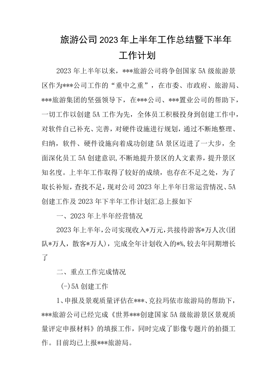 旅游公司2023年上半年工作总结暨下半年工作计划.docx_第1页