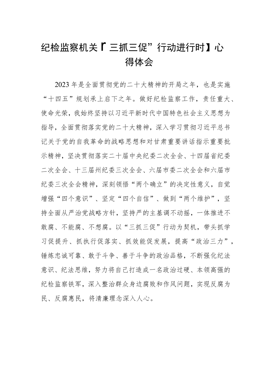 纪检监察机关【“三抓三促”行动进行时】心得体会合篇【三篇】.docx_第1页