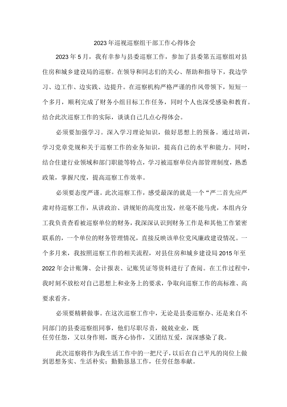 应急管理局2023年纪检巡察组巡检工作个人心得体会 （9份）.docx_第1页