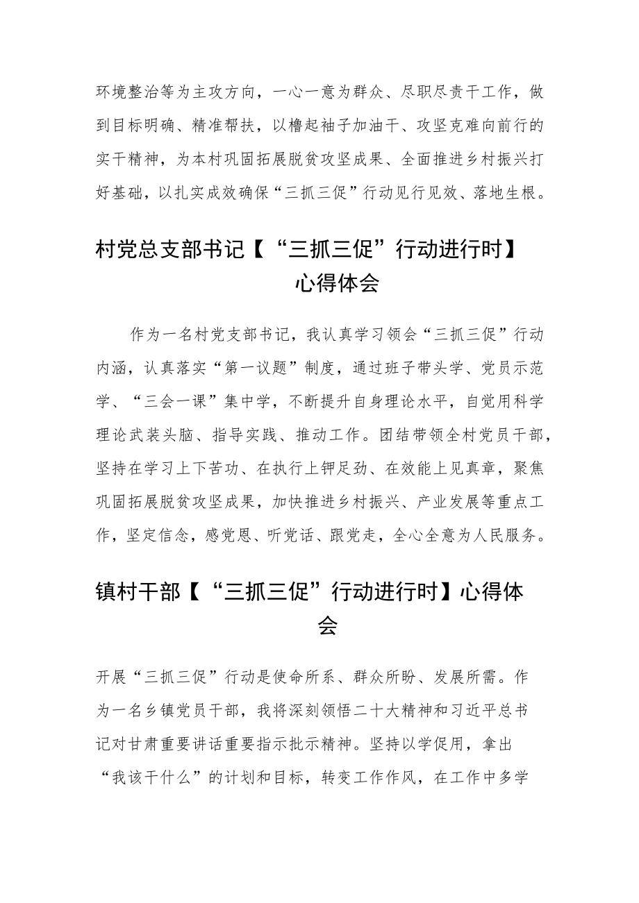 村干部【“三抓三促”行动进行时】学习心得体会合篇【三篇】.docx_第2页