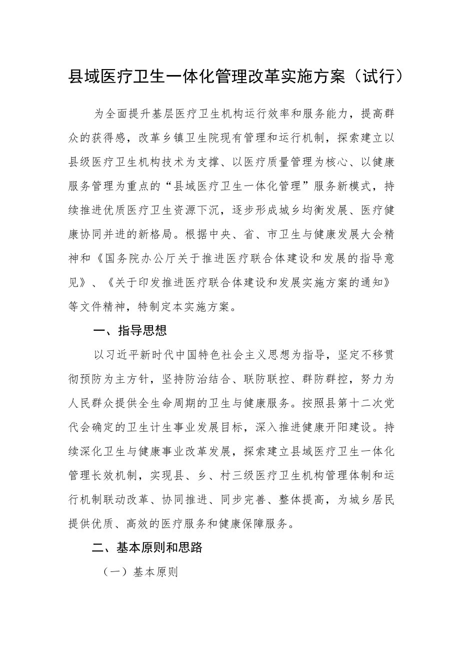 县域医疗卫生一体化管理改革实施方案（试行）.docx_第1页