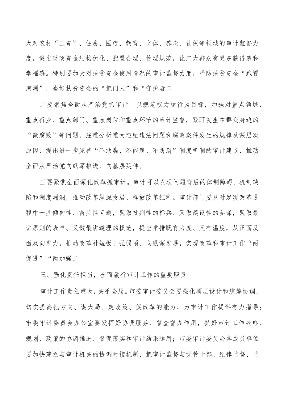 审计委员会强调要求.docx_第3页