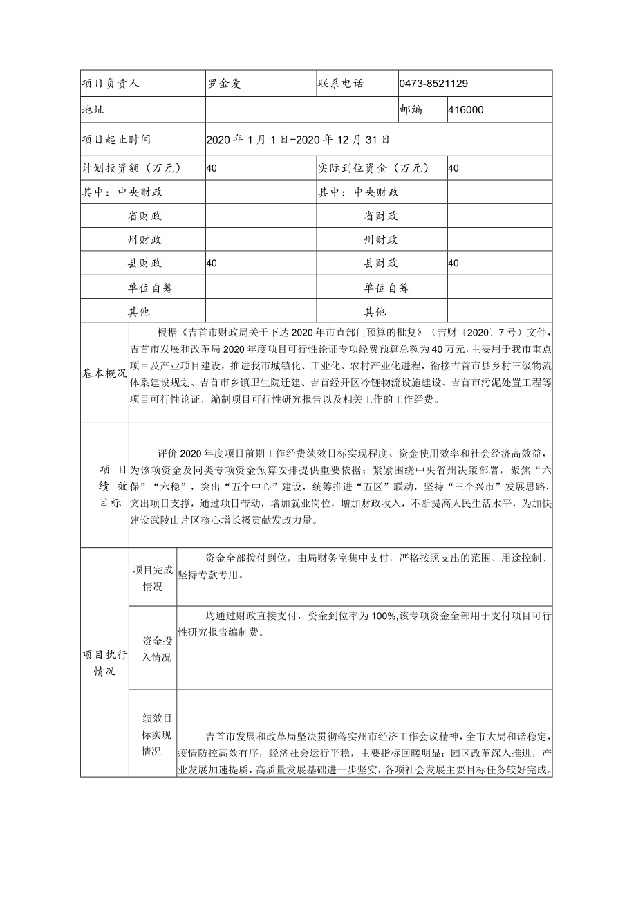 吉首市财政支出项目绩效自评报告.docx_第2页