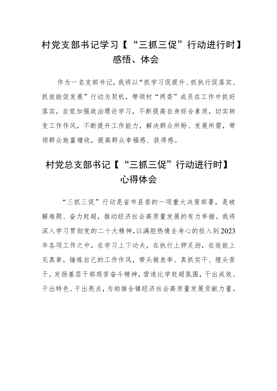 村党支部书记学习【“三抓三促”行动进行时】感悟、体会范文(3篇).docx_第1页