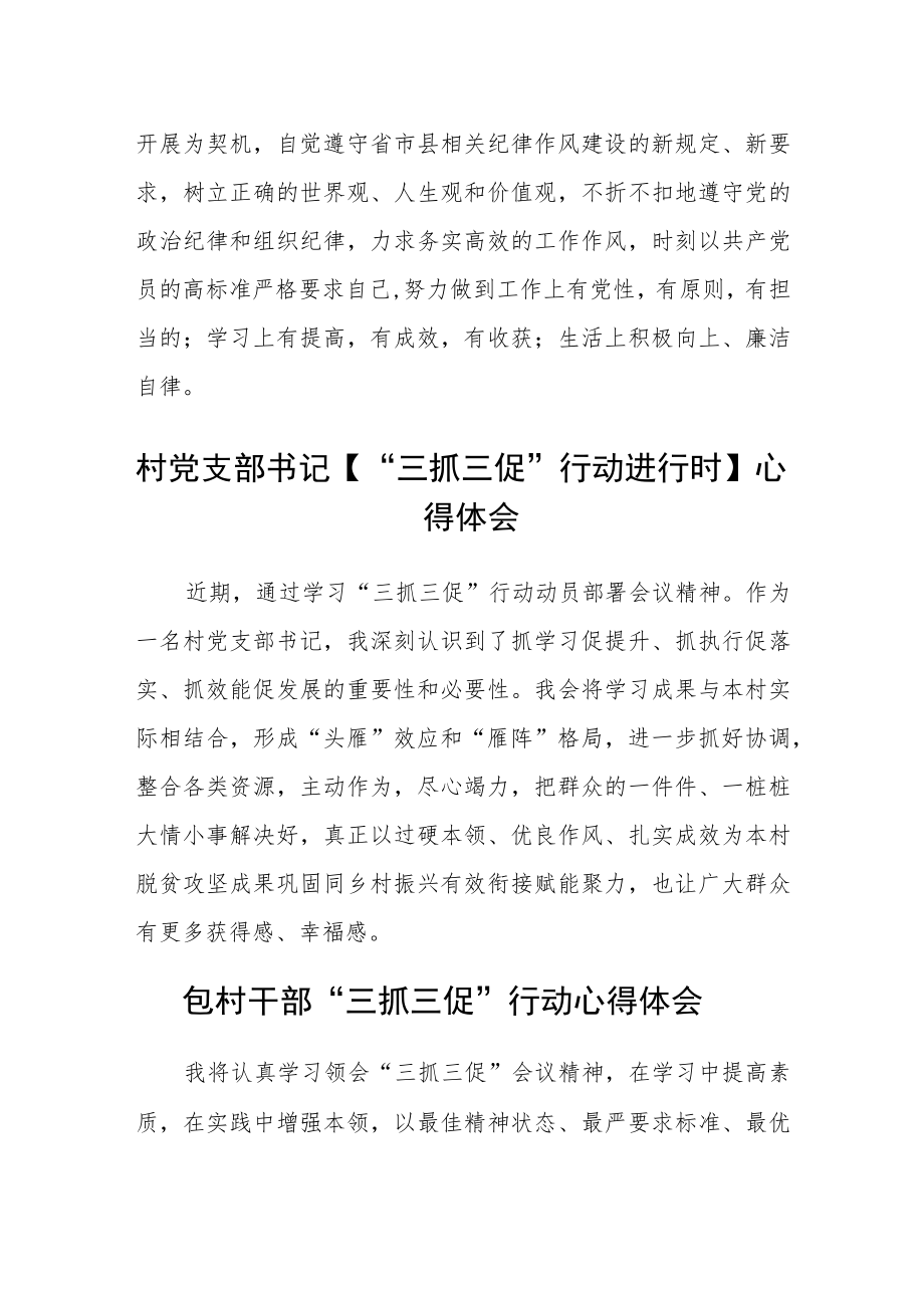 村党支部书记【“三抓三促”行动进行时】心得体会三篇.docx_第3页