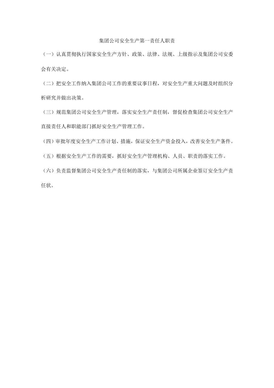 集团公司安全生产第一责任人职责.docx_第1页