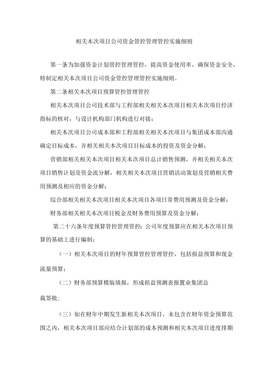 财务制度项目公司资金管理实施细则.docx_第1页