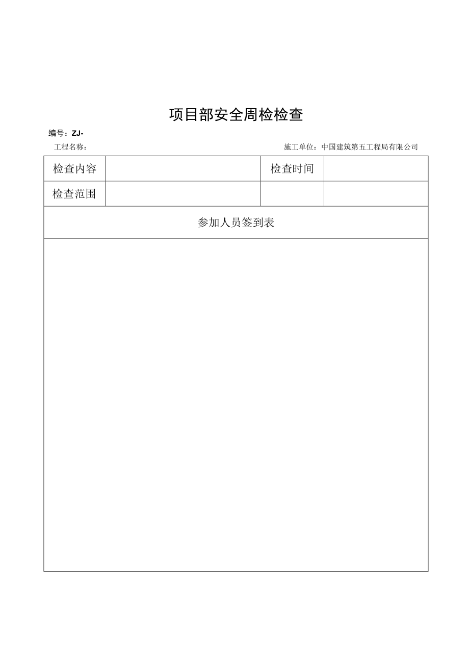 1.项目周检记录空白版.docx_第1页