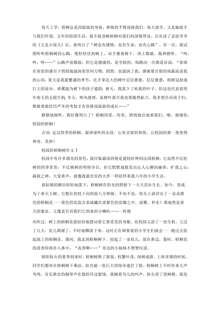 校园的梧桐树作文(集锦15篇).docx_第2页