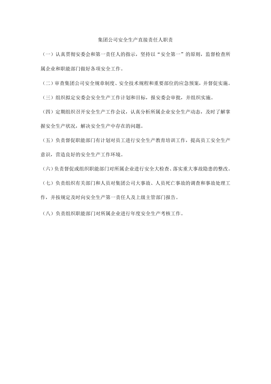 集团公司安全生产直接责任人职责.docx_第1页