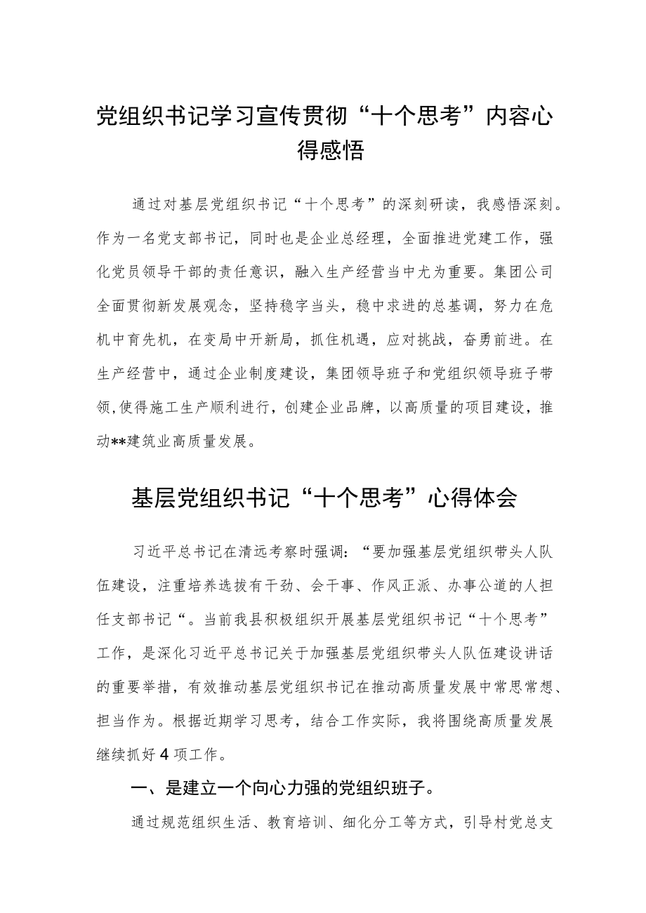 党组织书记学习宣传贯彻“十个思考”内容心得感悟最新版【三篇】.docx_第1页