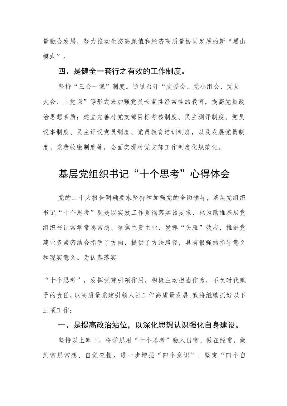 党组织书记学习宣传贯彻“十个思考”内容心得感悟最新版【三篇】.docx_第3页