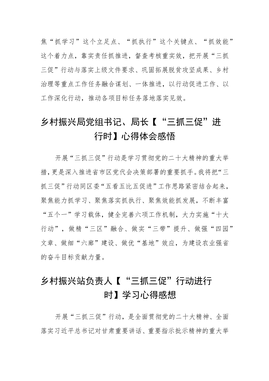 乡村振兴局召开【“三抓三促”行动进行时】集中学习会发言材料精选(三篇).docx_第2页