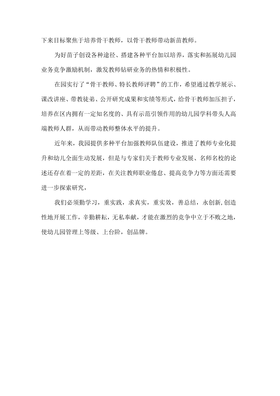 幼儿园教师队伍建设计划.docx_第3页