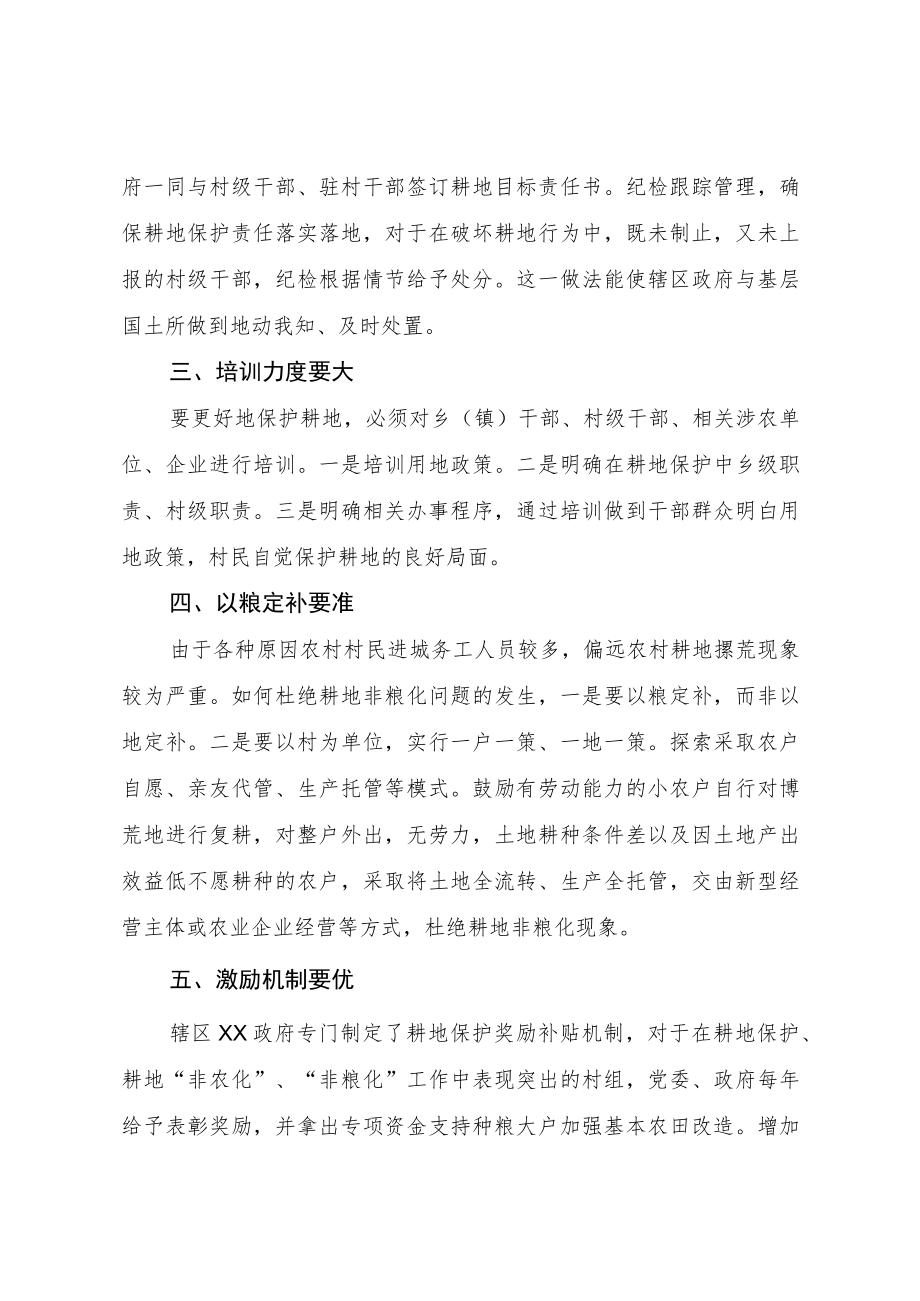 202X年耕地保护落到实处耕地保护办法探讨与建议.docx_第2页