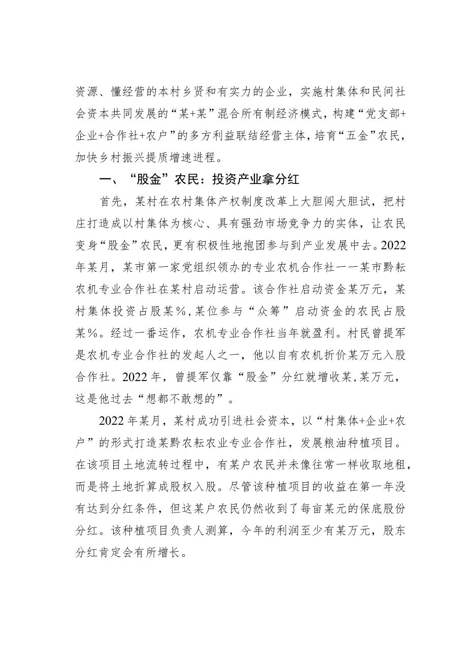 关于某某村探索乡村振兴新路的调查报告.docx_第2页