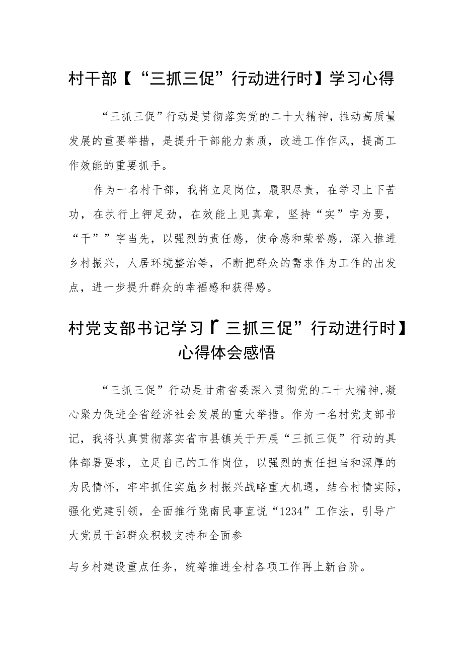 村干部【“三抓三促”行动进行时】学习心得精选范文(三篇).docx_第1页