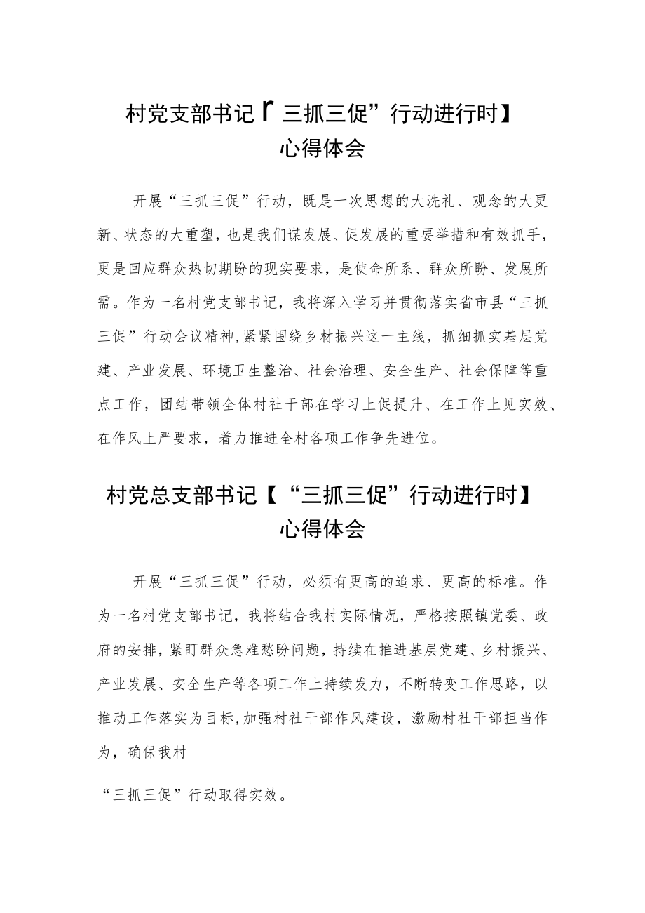 村党支部书记【“三抓三促”行动进行时】心得体会(精选3篇).docx_第1页