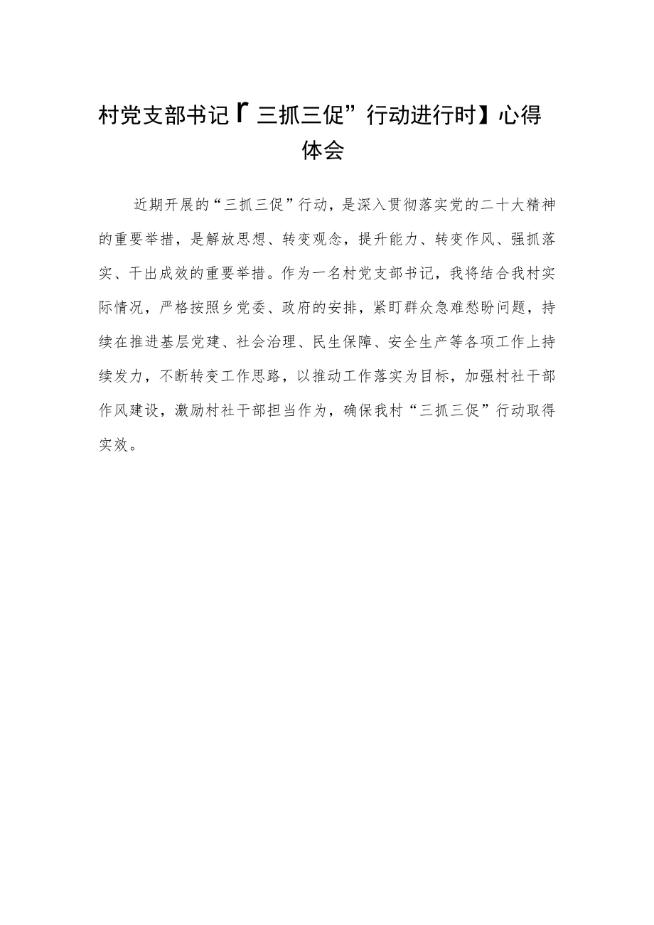 村党支部书记【“三抓三促”行动进行时】心得体会(精选3篇).docx_第2页