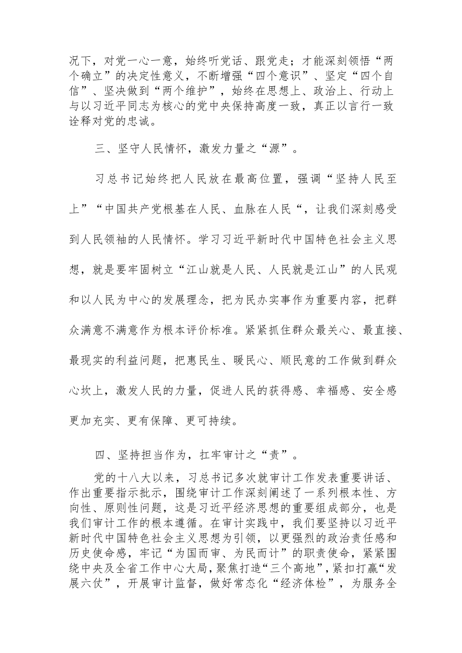 审计干部2023年主题教育读书班专题研讨交流材料.docx_第2页