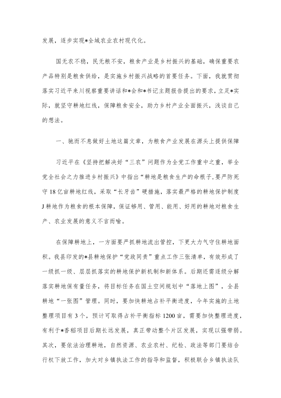 守“红线”保“粮安”推动乡村产业全面振兴研讨发言.docx_第2页