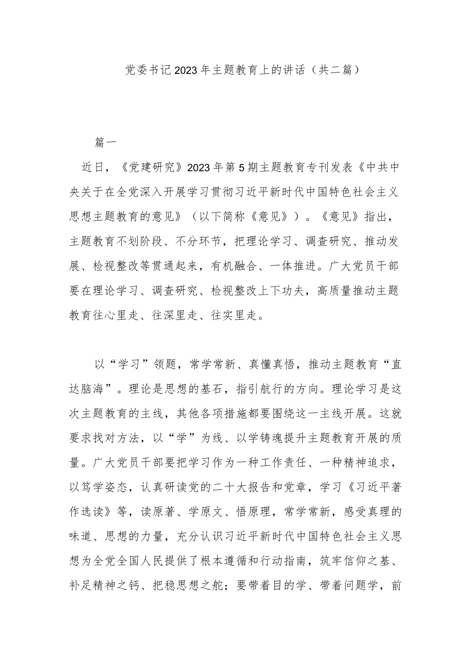 党委书记2023年主题教育上的讲话(共二篇).docx_第1页