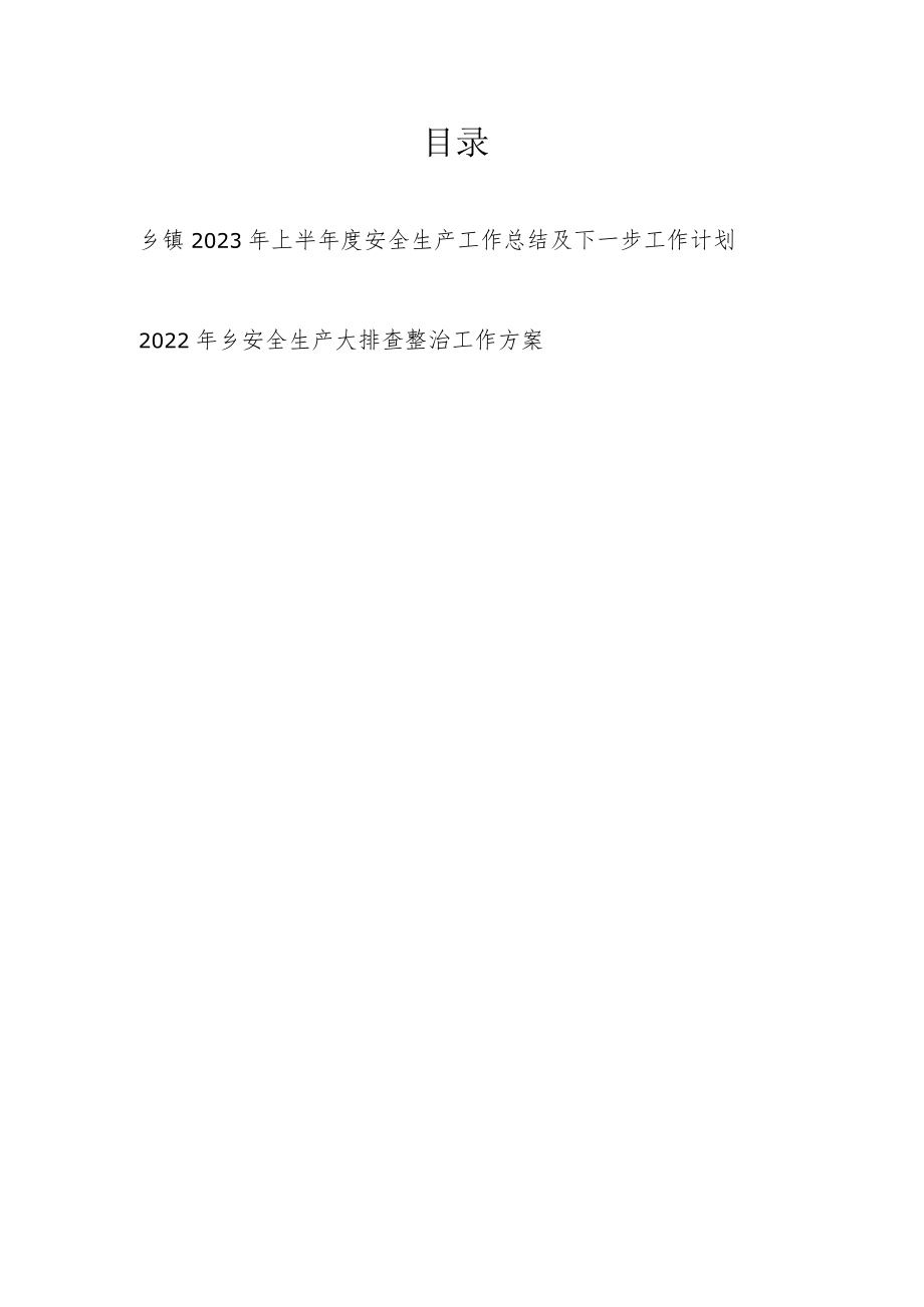 乡镇2023年上半年度安全生产工作总结及下一步工作计划和安全生产大排查整治工作方案.docx_第1页