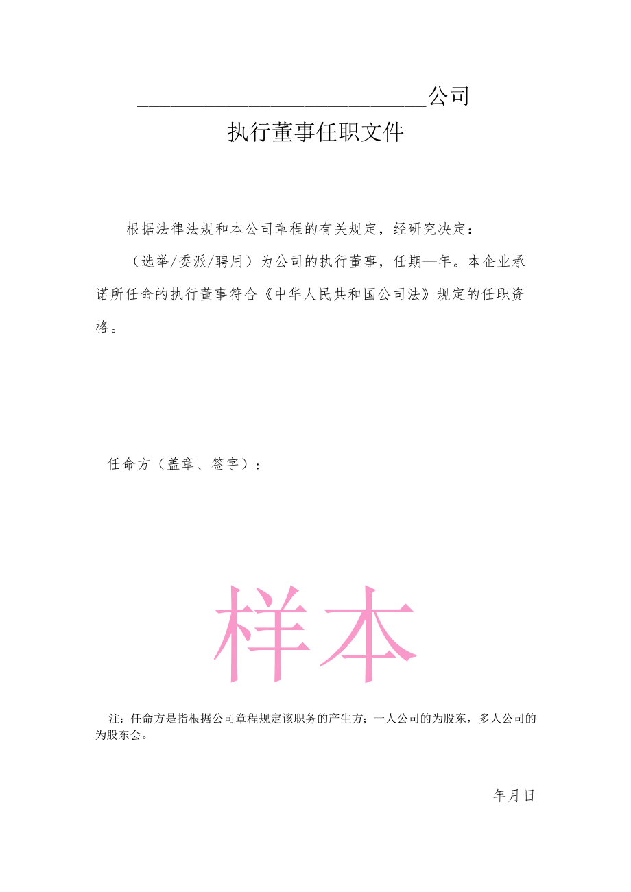 公司执行董事任职文件.docx_第1页