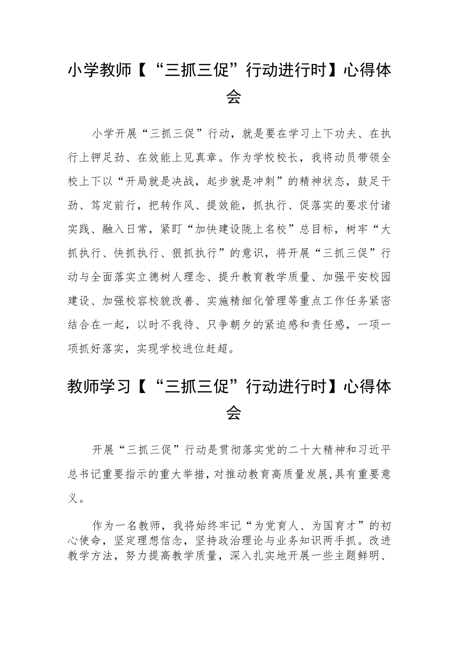 小学教师“三抓三促”行动进行时心得体会参考范文(3篇).docx_第1页